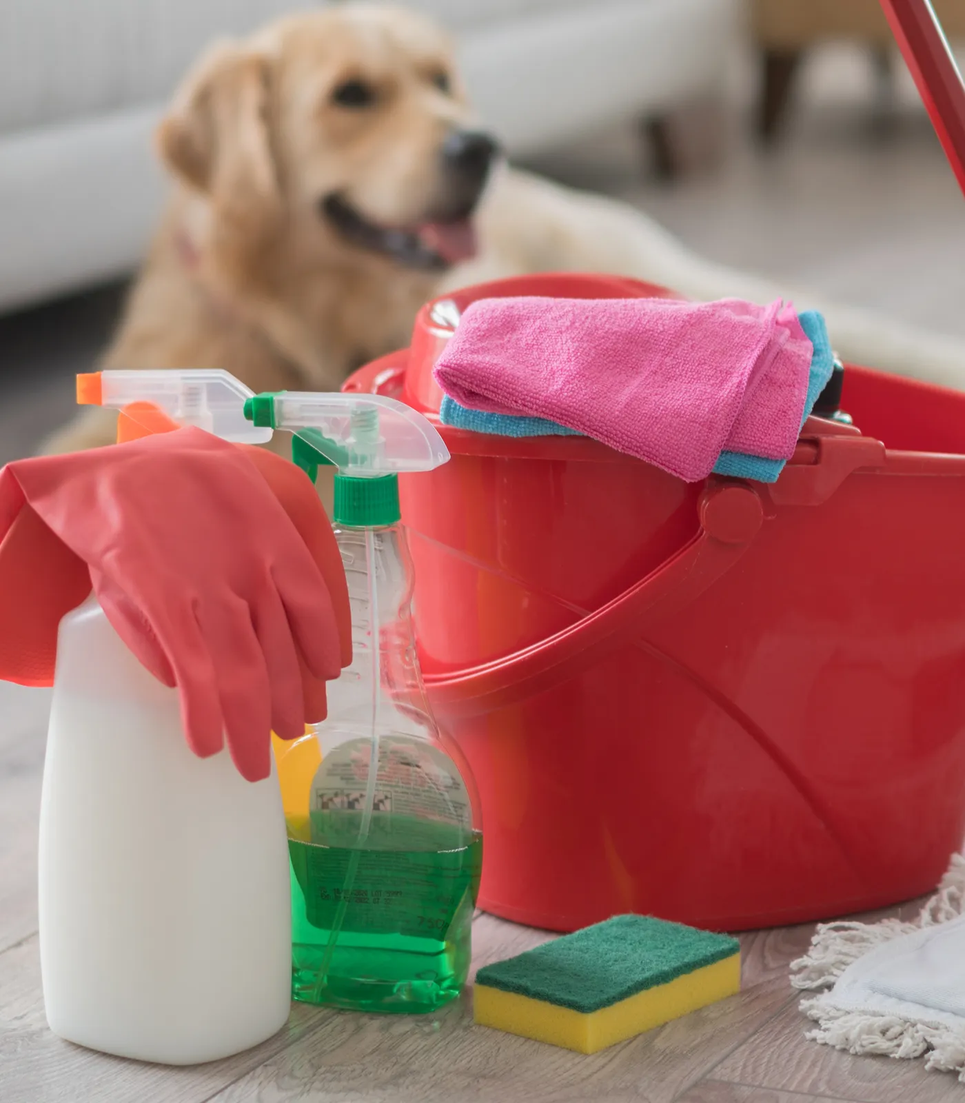 cleaning supplies next to a bucket